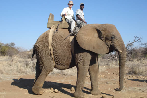 Safari na Africa sobre elefantes